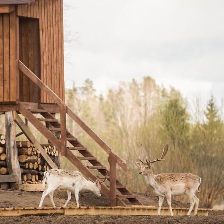 Villa Arciau Gamtos Anyksciai Kurkliai Esterno foto