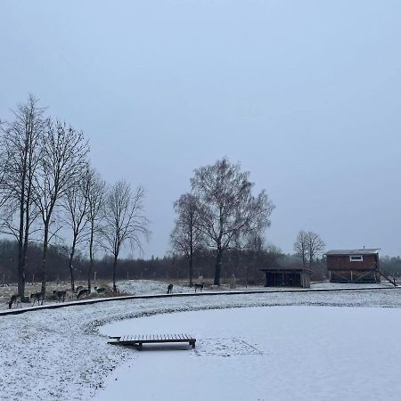 Villa Arciau Gamtos Anyksciai Kurkliai Esterno foto
