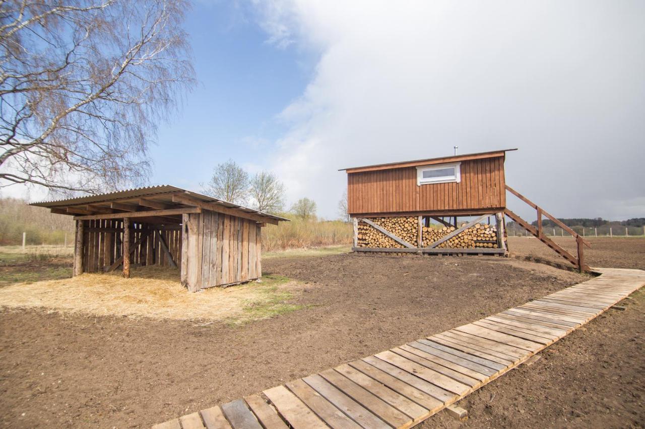 Villa Arciau Gamtos Anyksciai Kurkliai Esterno foto