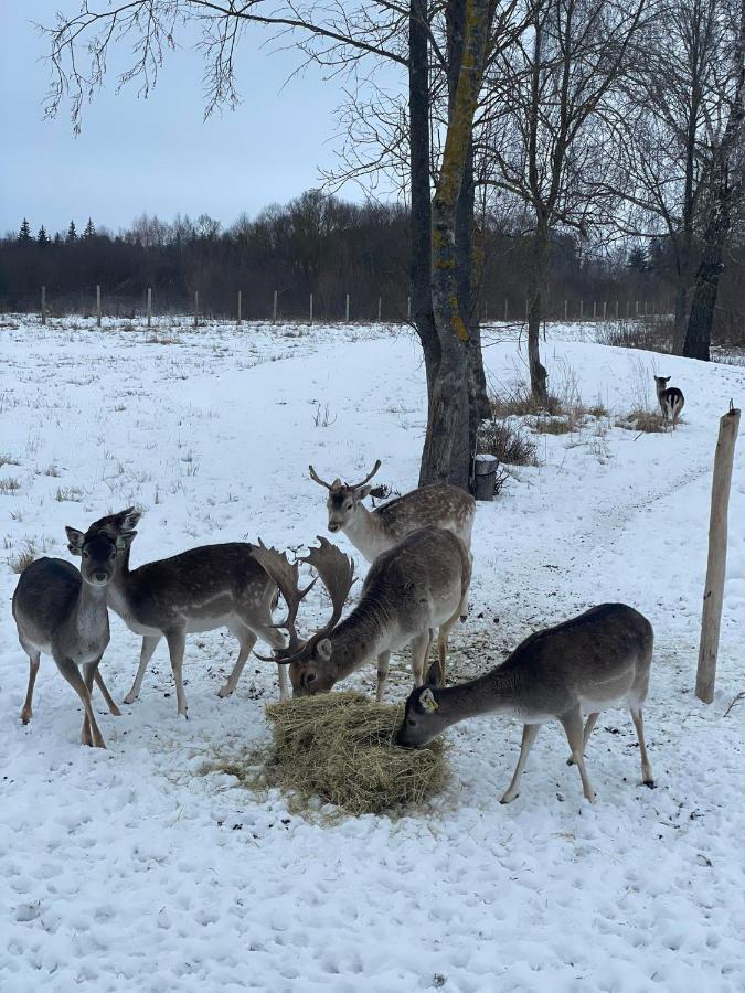 Villa Arciau Gamtos Anyksciai Kurkliai Esterno foto