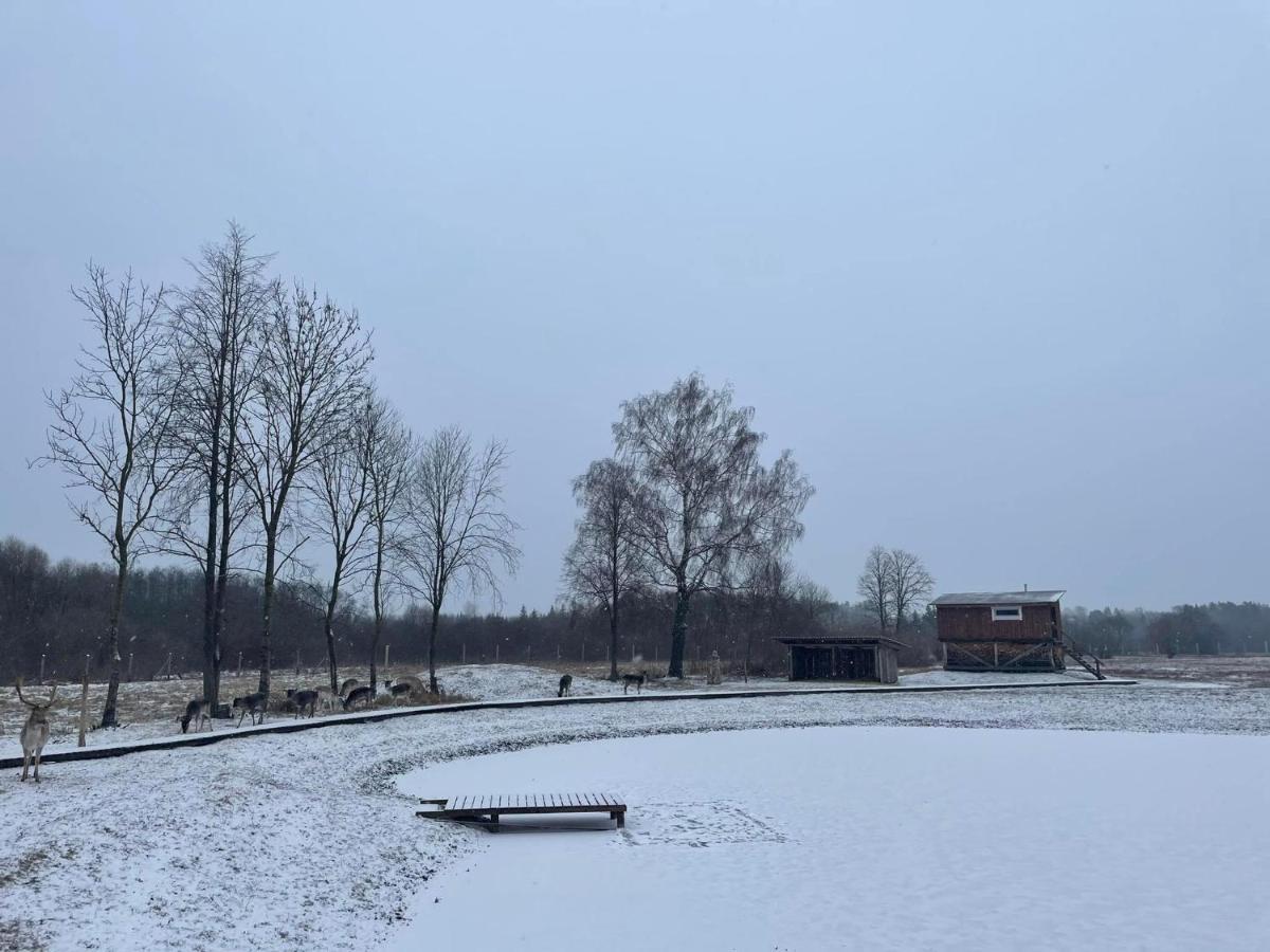 Villa Arciau Gamtos Anyksciai Kurkliai Esterno foto