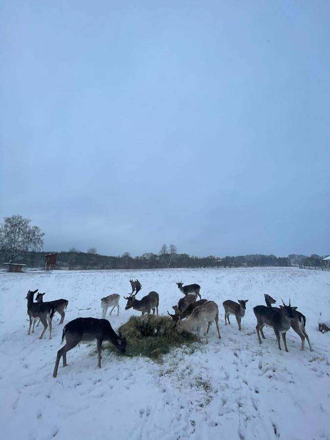 Villa Arciau Gamtos Anyksciai Kurkliai Esterno foto